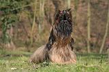 BRIARD 083